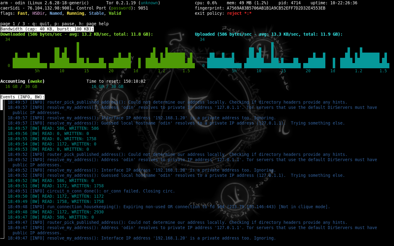 Nyx terminal